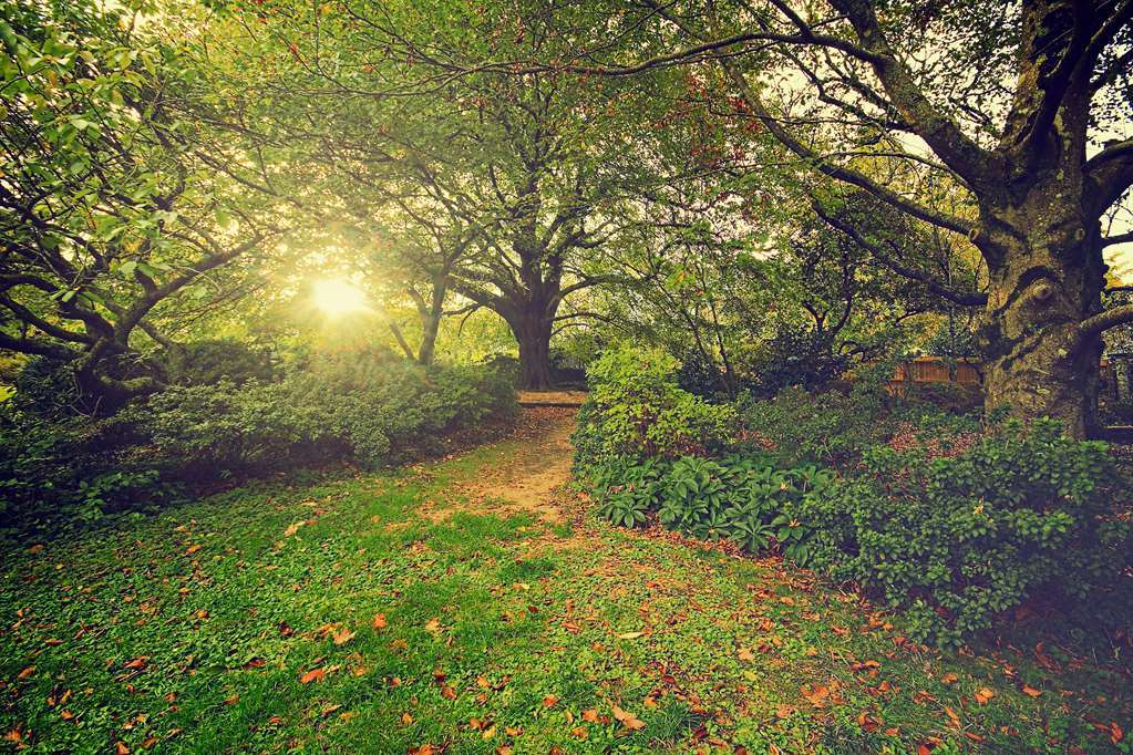 Отель Nesuto Leura Gardens Экстерьер фото