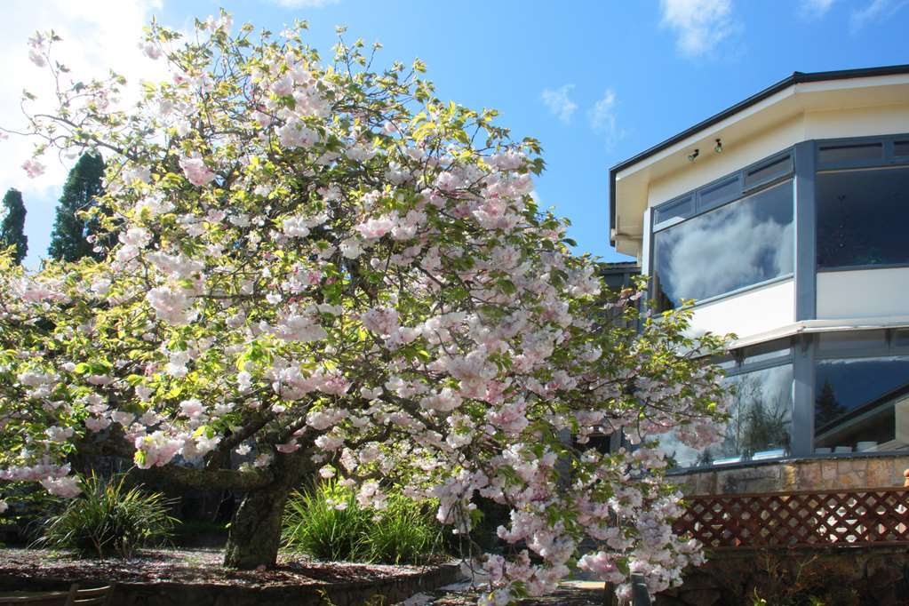 Отель Nesuto Leura Gardens Экстерьер фото