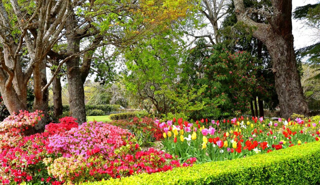 Отель Nesuto Leura Gardens Экстерьер фото